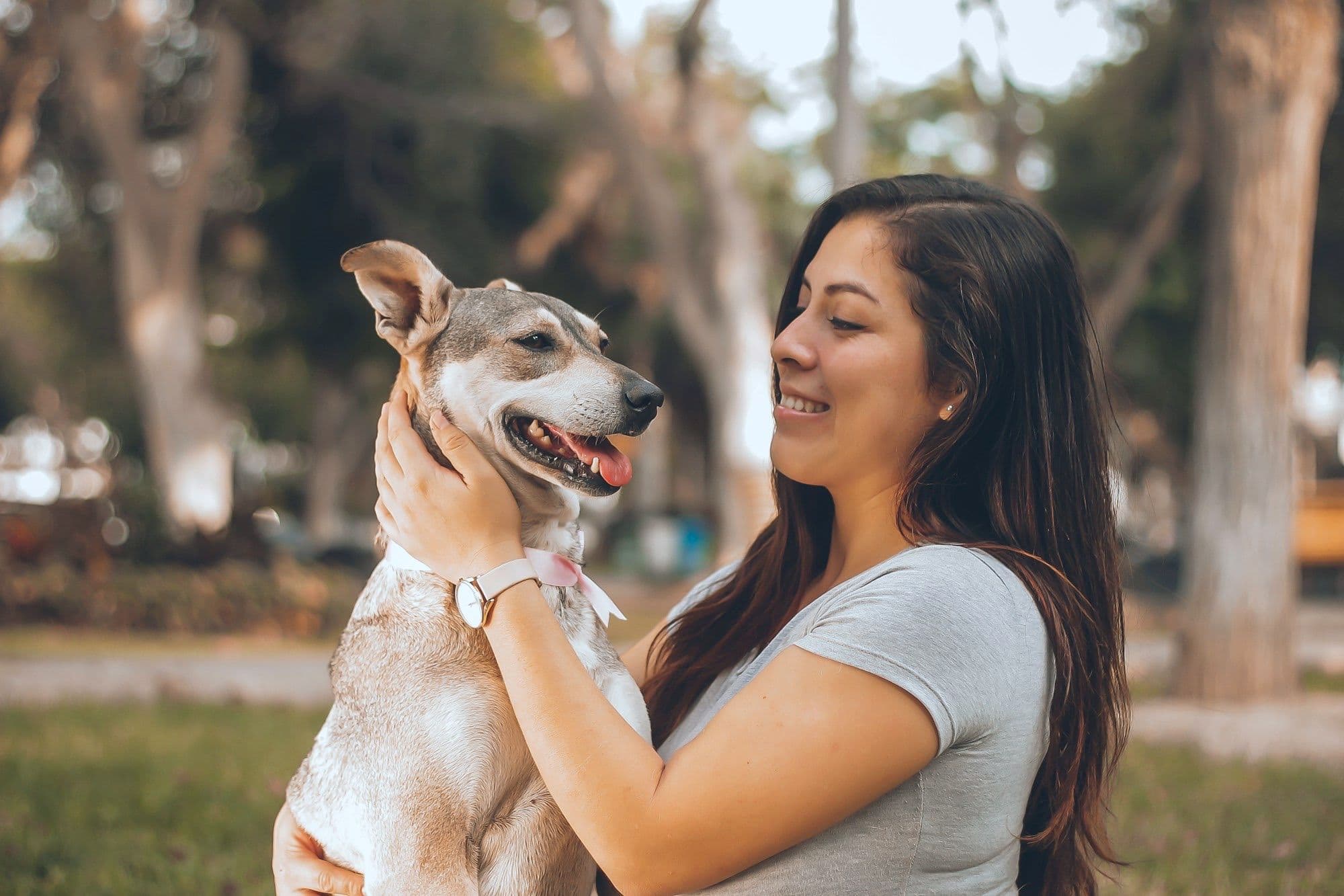 A woman in a park smiling at her dog, holding its face in both hands, with a white marker note “paid ✓”, a heart and a little drawn dog in the trees above